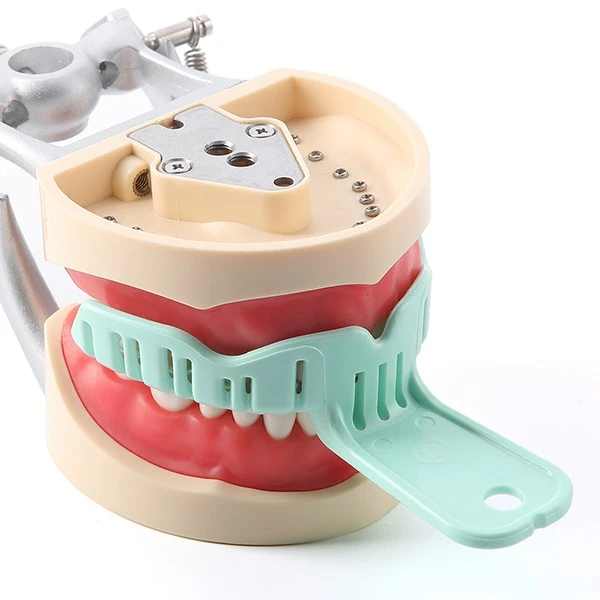 Dental implant impression trays (5)